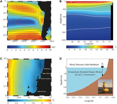 High-Frequency Variability of the Surface Ocean Properties Off Central Chile During the Upwelling Season